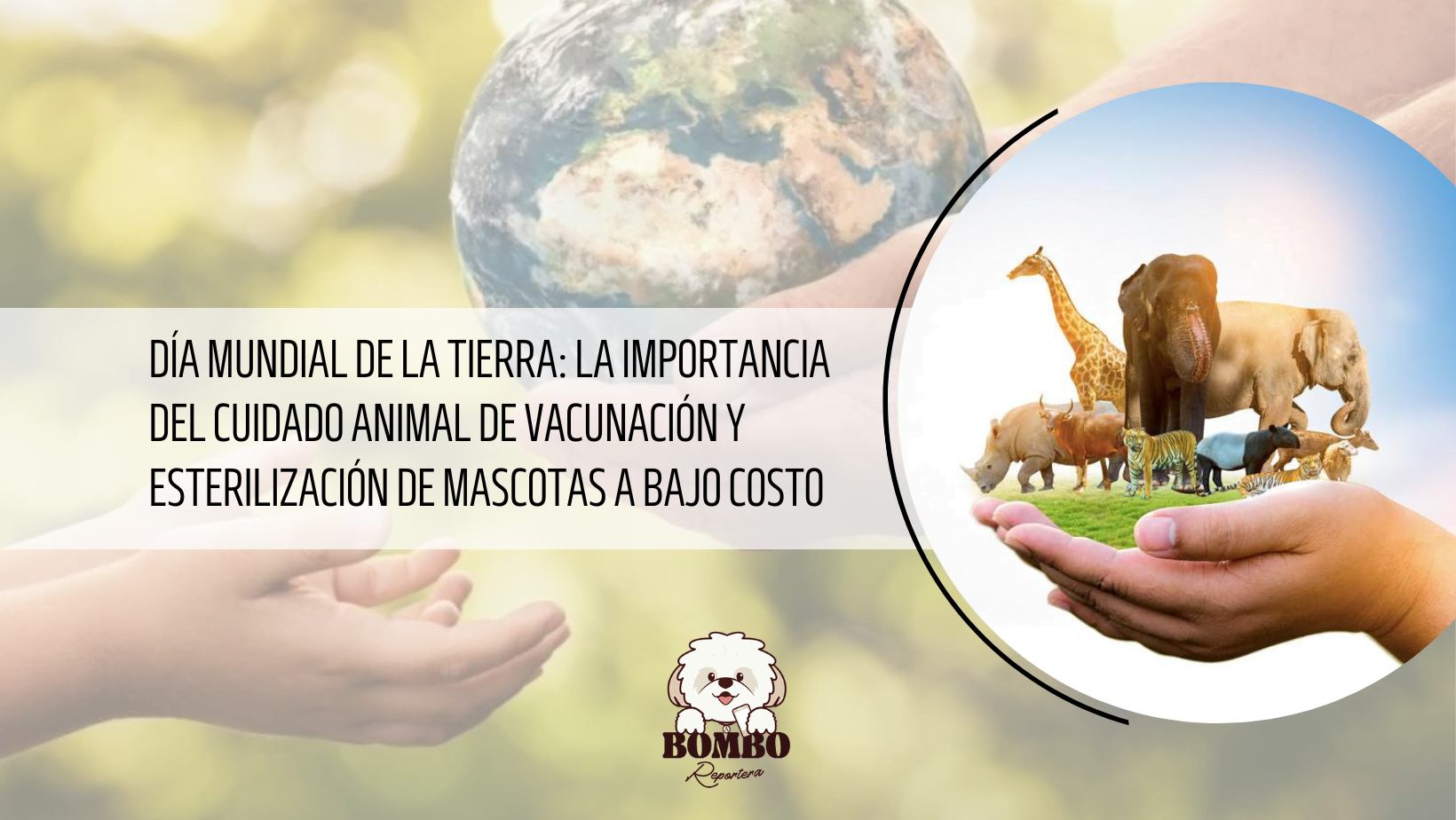 Día Mundial de la Tierra: la importancia del cuidado animal – ACRÓPOLIS