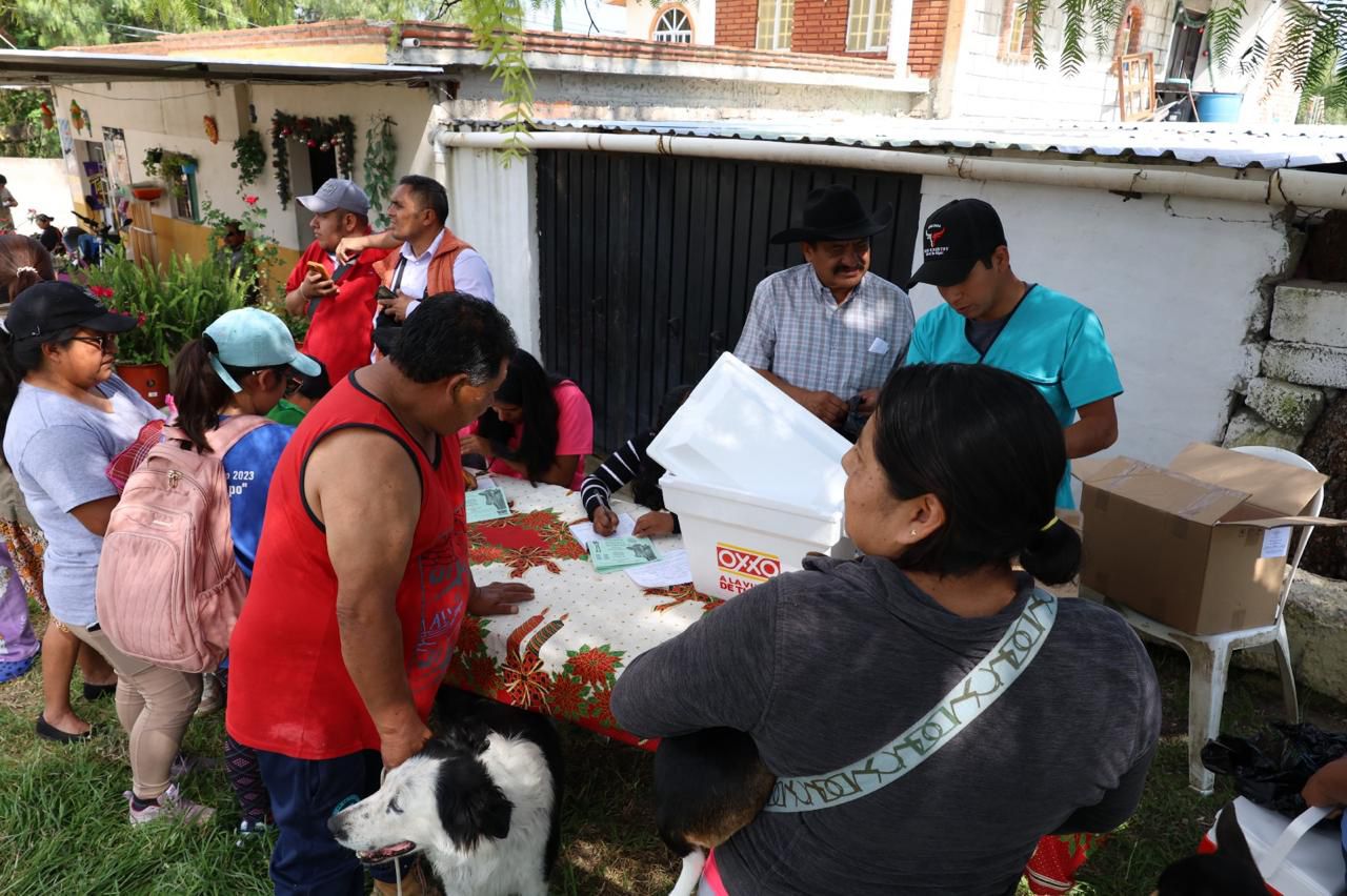 Impulsan jornadas de vacunación antirrábica y esterilizaciones caninas y felinas en Tula de Allende
