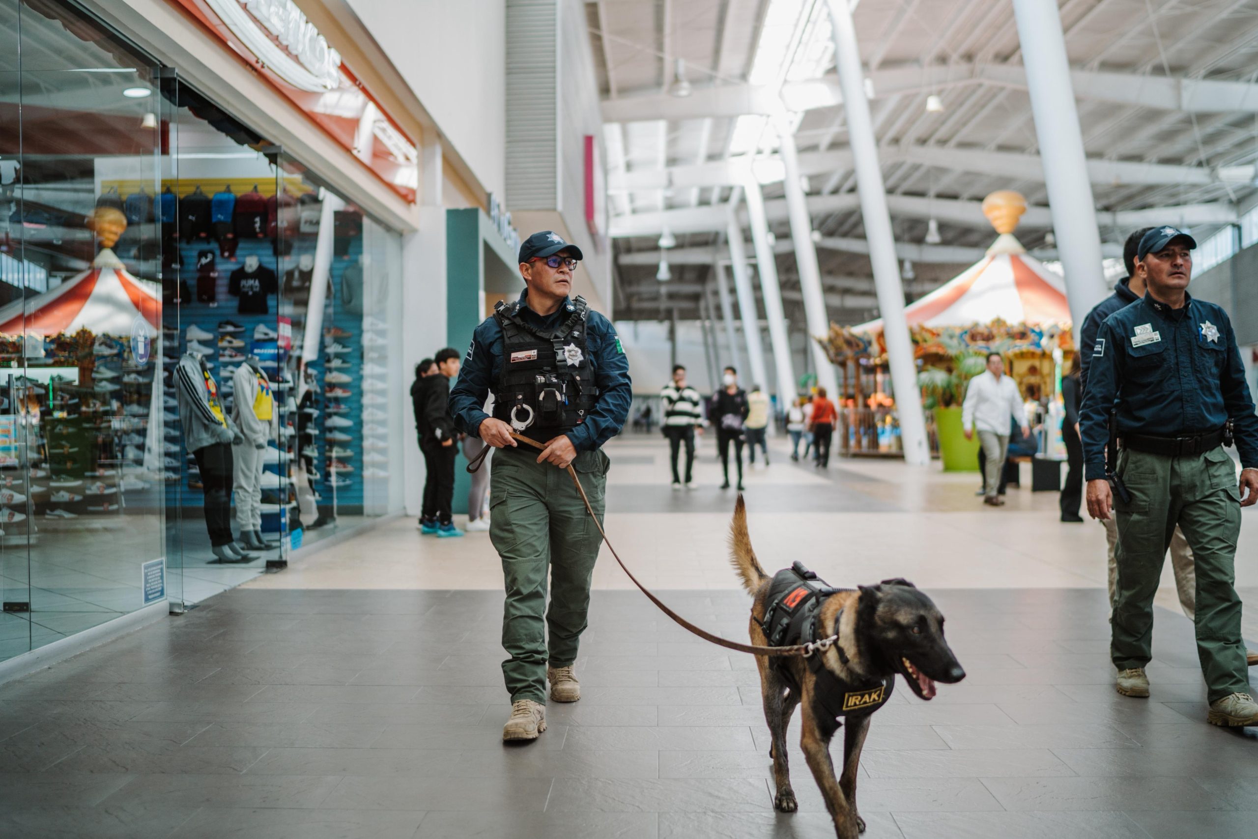 Binomios K9 y Policía Municipal fortalecen la seguridad en plazas comerciales de Pachuca