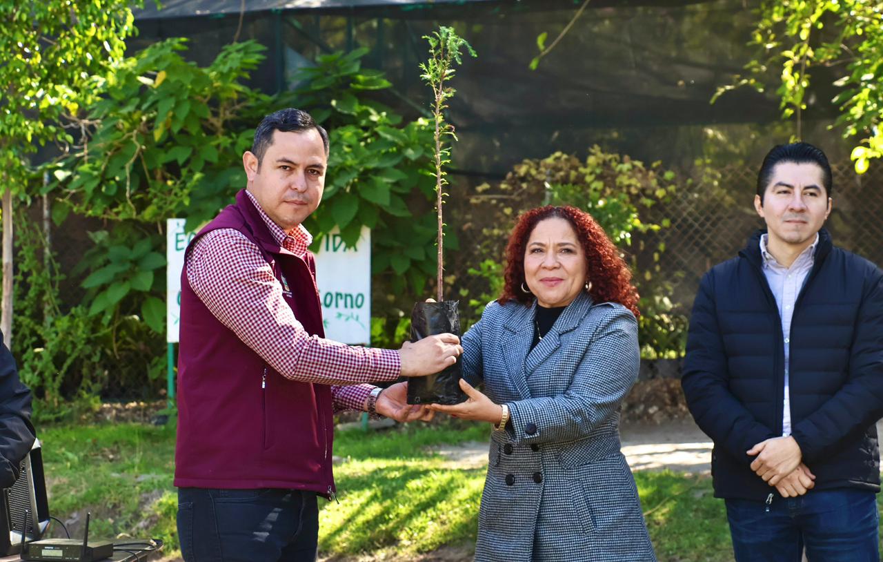 Tula impulsa reforestación con entrega de ahuehuetes a la UAM Azcapotzalco