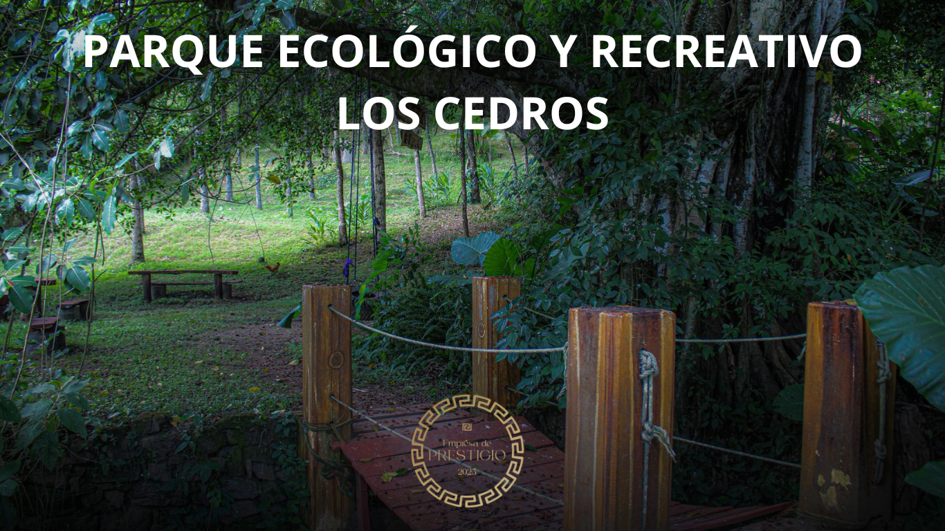 Parque Ecológico y Recreativo Los Cedros: un proyecto familiar que hoy impulsa el turismo en Chapulhuacán
